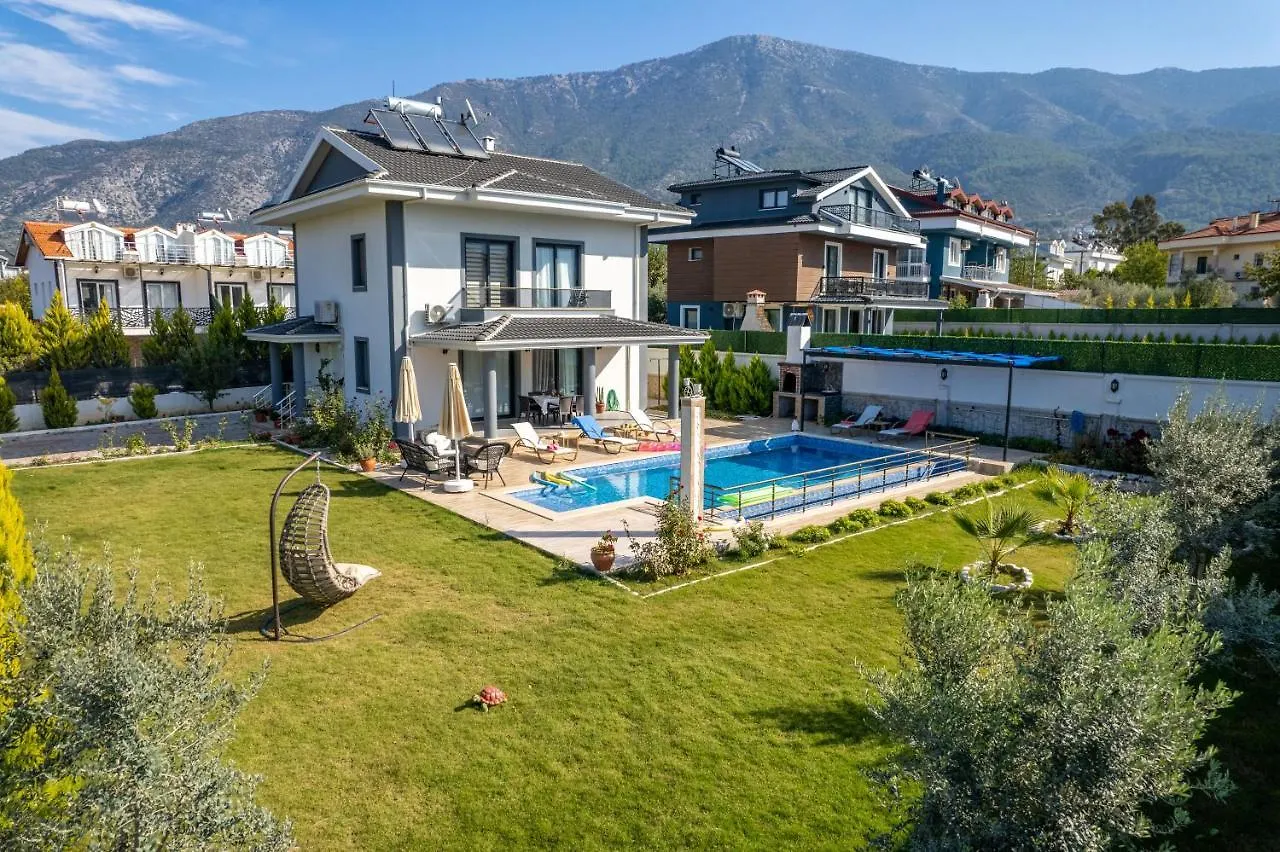 Villa Olive Oyl Φετιγιέ
