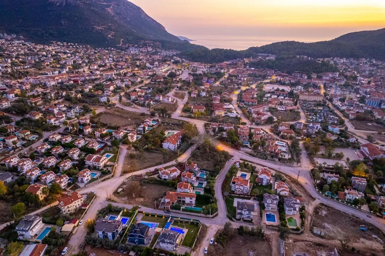 Villa Olive Oyl Φετιγιέ