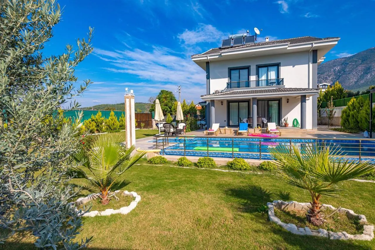 Villa Olive Oyl Φετιγιέ Τουρκία