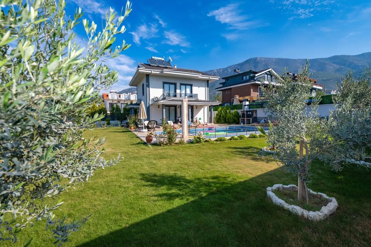 Villa Olive Oyl Φετιγιέ 0*,